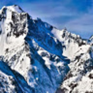 Meet your Posher, Carolyn